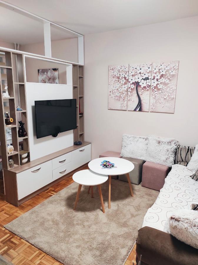 Apartman Stanisic 帕莱 外观 照片
