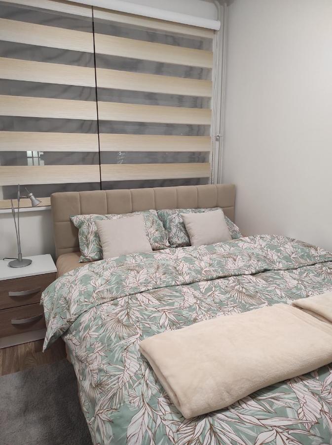 Apartman Stanisic 帕莱 外观 照片