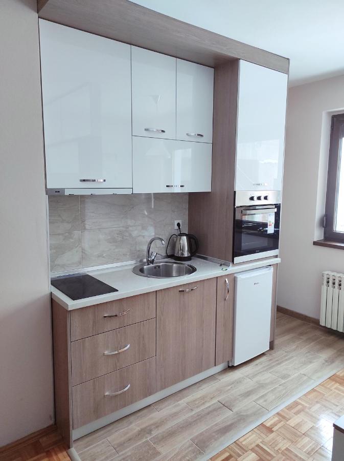 Apartman Stanisic 帕莱 外观 照片