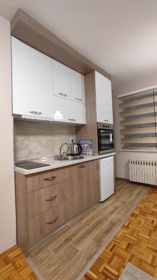Apartman Stanisic 帕莱 外观 照片